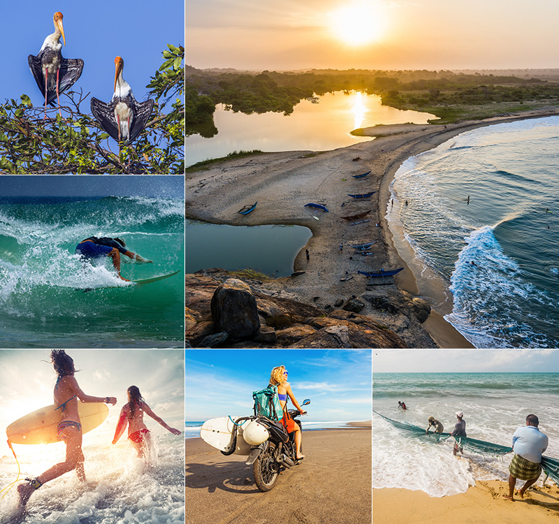 Arugambay, surfing beach pics collage