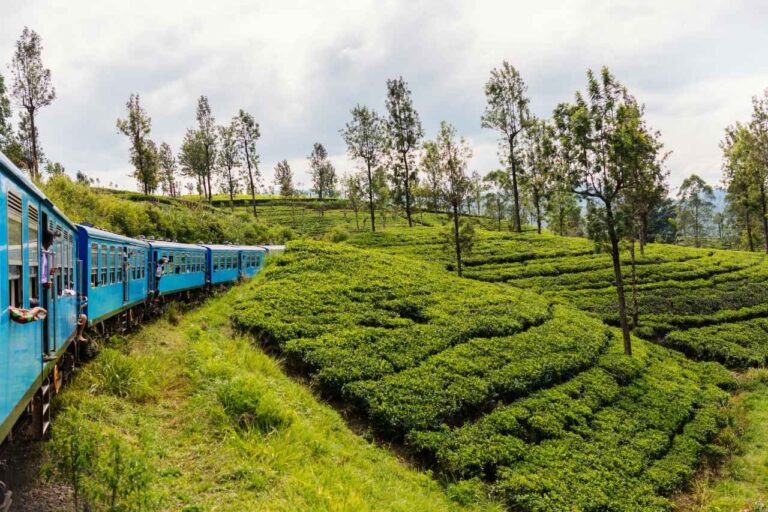 Why Sri Lanka Should Be Your Next Travel Destination in 2026