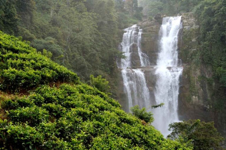 7 Hidden Gems in Sri Lanka Every Traveler Should Visit