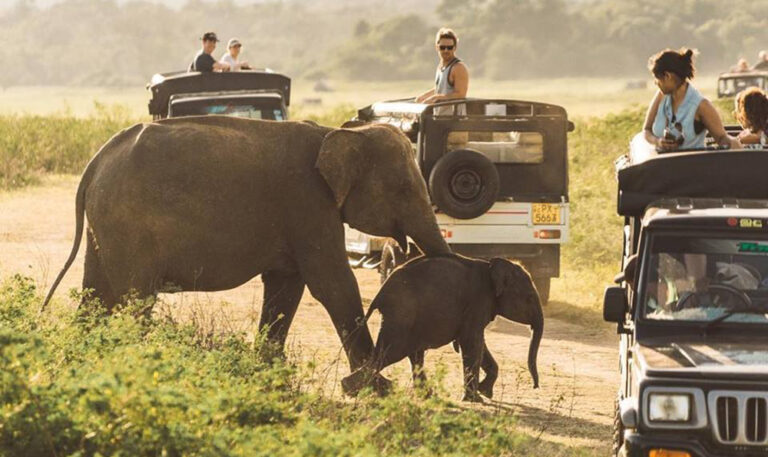 Family tour Sri Lanka package