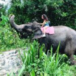 Elephant ride in Pinnawala