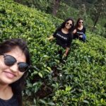 Indian Girls at Ceylon Tea plantation