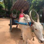 Bullock cart ride by Ms Abi during the Village Tour