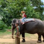 Experiencing an Elephant ride in Sigiriya