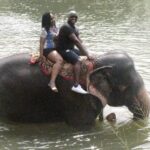 Elephant ride by Mr Edwin and his wife during Ceylon Tour