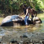 Bathing Elephant at Pinnawala by our Guest