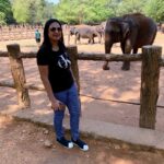 Watching Elephant in Pinnawala