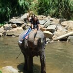 Elephant ride by our Guest in Pinnawala