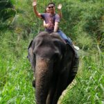 Elephant ride at Pinnawala