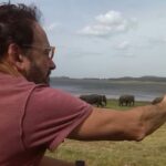 Large Herds of Elephants in Minneriya National Park Sri Lanka